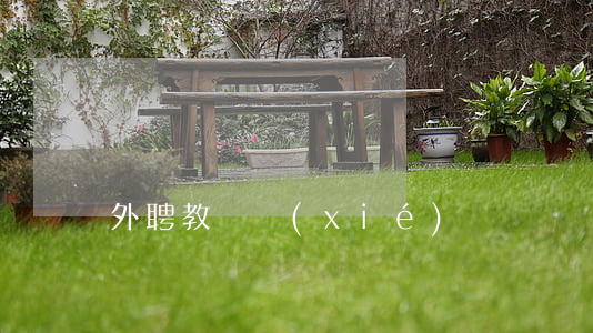 外聘教師協(xié)議書