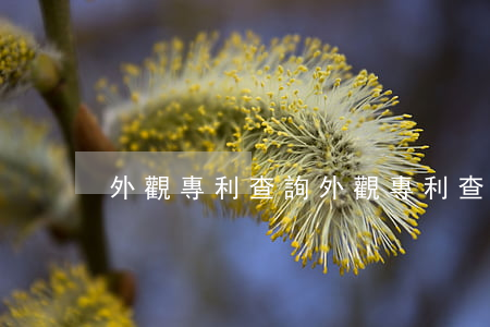 外觀專利查詢(外觀專利查詢軟件)