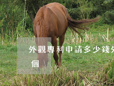 外觀專利申請多少錢(外觀專利申請多少錢一個)