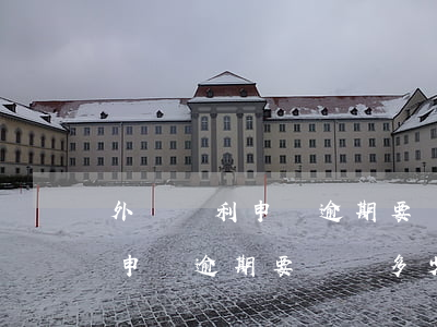 外觀專利申請逾期要補繳多少錢-外觀專利申請逾期要補繳多少錢費用