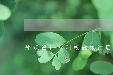 外观设计专利权被抢注后该怎么维权
