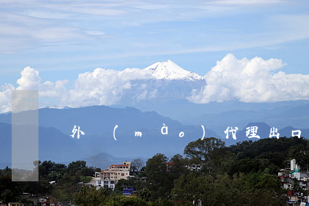 外貿(mào)代理出口合同