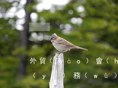 外貿(mào)會(huì)計(jì)業(yè)務(wù)如何核算