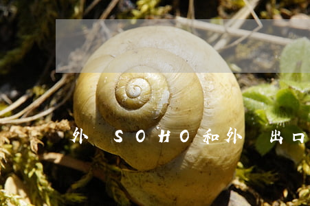 外貿SOHO和外貿出口代理方的合同1
