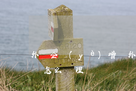 外資企業(yè)增資(外資企業(yè)增資怎么辦理)