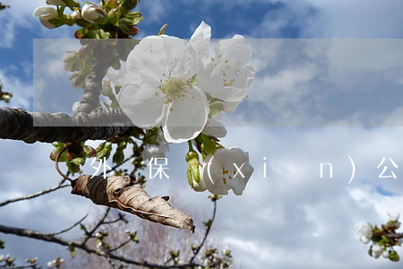 外資保險(xiǎn)公司