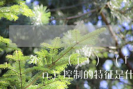 外資審計(jì)風(fēng)險(xiǎn)控制的特征是什么