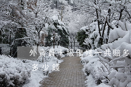外賣員十級傷殘一共賠多少(外賣員保險能賠多少錢)