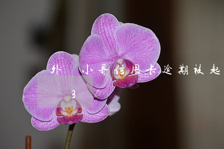 外賣小哥信用卡逾期被起訴(起訴外賣小哥索賠3萬)