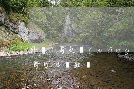 外賣小哥欠網(wǎng)貸沒錢還(外賣小哥可以貸款嗎)