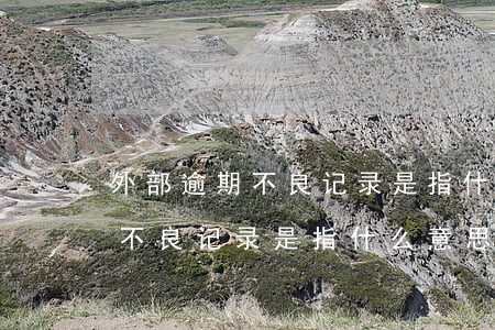 外部逾期不良记录是指什么意思-外部逾期不良记录是指什么意思呢