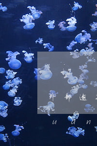 外部逾期影響信用卡 與信用卡逾期相關(guān)的法律法規(guī)