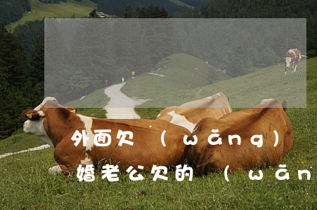 外面欠網(wǎng)貸不想拖累老婆想離婚(老公欠的網(wǎng)貸離婚了我不用承擔了吧)
