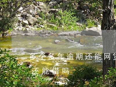 多个多年逾期还能网贷吗(网贷逾期很久还了还能借吗)