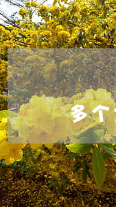 多个大额贷款软件逾期(好多贷款逾期怎么办)