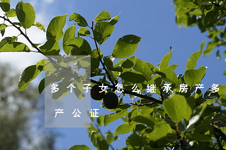 多个子女怎么继承房产(多个子女怎么继承房产 公证)