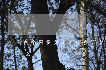 多个网贷欠了20多万(欠了二十几个网贷怎么办)