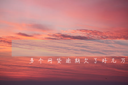 多个网贷逾期欠了好几万