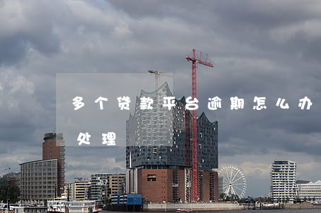 多个贷款平台逾期怎么办(多个平台逾期怎么处理)