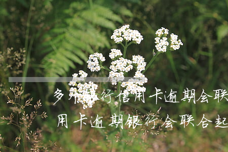 多个银行信用卡逾期会联合起诉吗 好几家信用卡逾期银行会联合起诉吗