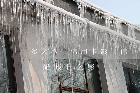 多久不還信用卡影響信譽(信用卡長時間不還會造成什么影響)