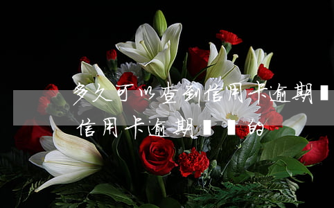 多久可以查到信用卡逾期記錄(多久可以查到信用卡逾期記錄的)