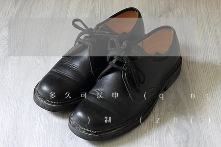 多久可以申請(qǐng)二次強(qiáng)制執(zhí)行(多久可以申請(qǐng)二次強(qiáng)制執(zhí)行新的線索法院知道嗎)