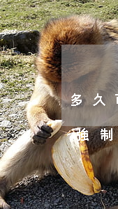 多久可以申請二次強制執(zhí)行(申請強制執(zhí)行后多久可以再次申請強制執(zhí)行)