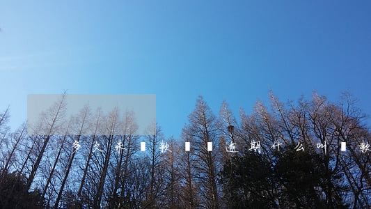 多久未還款稱為逾期(什么叫還款后不算逾期)