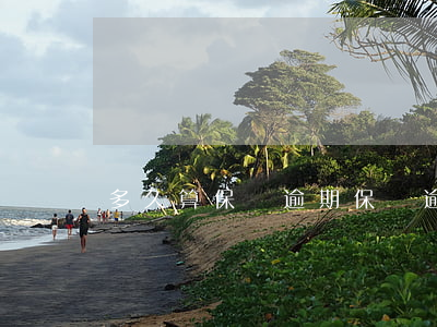 多久算保險逾期(保險逾期多長時間會有不良記錄)