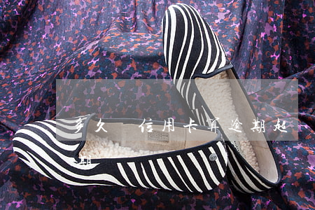多久還信用卡算逾期(超過兩天還信用卡算逾期嗎)