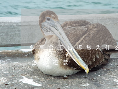 多享金汇告诉您为什么按时还款-多享金汇怎么还款