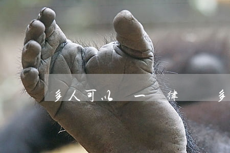 多人可以請一個律師嗎(多人可以請一個律師嗎)