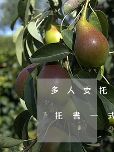 多人委托一人委托書怎么寫(個(gè)人委托書一式幾份)