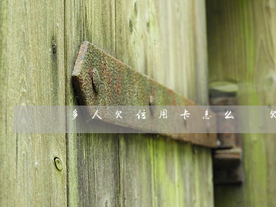 多人欠信用卡怎么辦(欠多張信用卡怎么處理)
