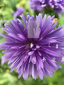多個(gè)信用卡逾期怎么辦(多家銀行信用卡逾期了怎么辦)