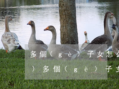多個(gè)子女怎么繼承房產(chǎn)(多個(gè)子女怎么繼承房產(chǎn)一個(gè)人要房子)
