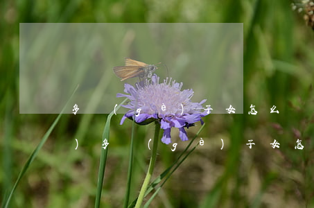 多個(gè)子女怎么繼承房產(chǎn)(多個(gè)子女怎么繼承房產(chǎn) 公證)