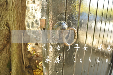 多個(gè)子女繼承房產(chǎn)過戶(繼承房產(chǎn)可以直接過戶給繼承人子女嗎)