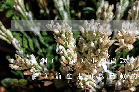 多個(gè)小額貸款平臺逾期(當(dāng)前逾期可以貸款的平臺)