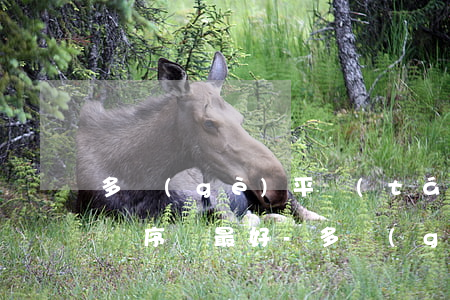 多個(gè)平臺(tái)逾期后按什么順序還最好-多個(gè)平臺(tái)逾期后按什么順序還最好貸款