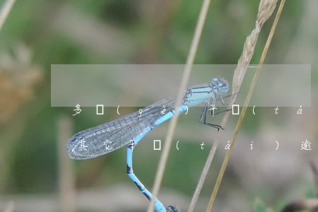多個(gè)平臺(tái)逾期怎么還款(其它平臺(tái)逾期了還能借款嗎)