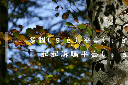 多個(gè)平臺(tái)逾期被起訴是一起起訴嗎(平臺(tái)逾期會(huì)被起訴嗎)