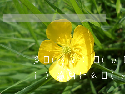 多個(gè)網(wǎng)貸同時(shí)逾期什么時(shí)候會(huì)起訴-多個(gè)網(wǎng)貸逾期了怎么辦