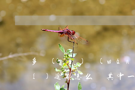 多個(gè)網(wǎng)貸同時(shí)逾期怎么還其中一個(gè)-一個(gè)網(wǎng)貸逾期和多個(gè)網(wǎng)貸逾期有區(qū)別嗎