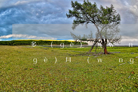 多個(gè)網(wǎng)貸逾期三個(gè)月(網(wǎng)貸連續(xù)逾期兩個(gè)月)