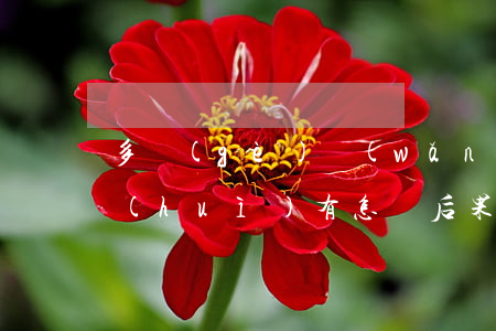 多個(gè)網(wǎng)貸逾期不還會(huì)有怎樣后果-多個(gè)網(wǎng)貸逾期不還會(huì)有怎樣后果