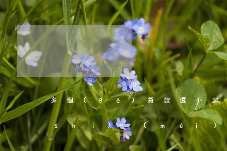 多個(gè)貸款還不起(欠多家貸款暫時(shí)沒(méi)錢還怎么辦)