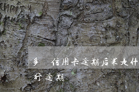 多個信用卡逾期后果是什么(多張信用卡,有一行逾期)