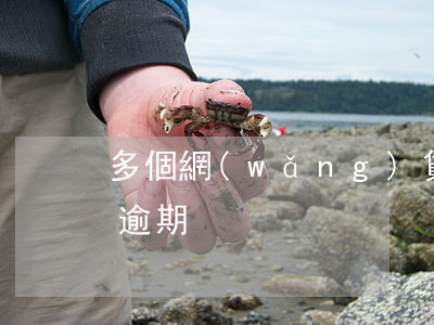 多個網(wǎng)貸平臺同時(shí)逾期